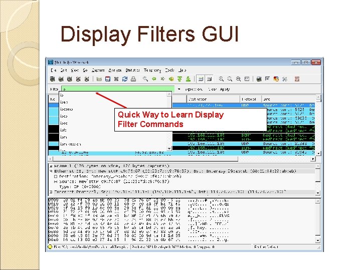 Display Filters GUI Quick Way to Learn Display Filter Commands 