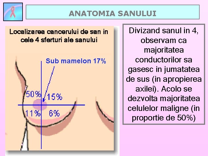 ANATOMIA SANULUI Localizarea cancerului de san in cele 4 sferturi ale sanului Sub mamelon