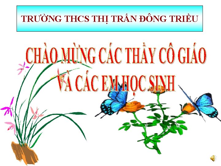 TRƯỜNG THCS THỊ TRẤN ĐÔNG TRIỀU 