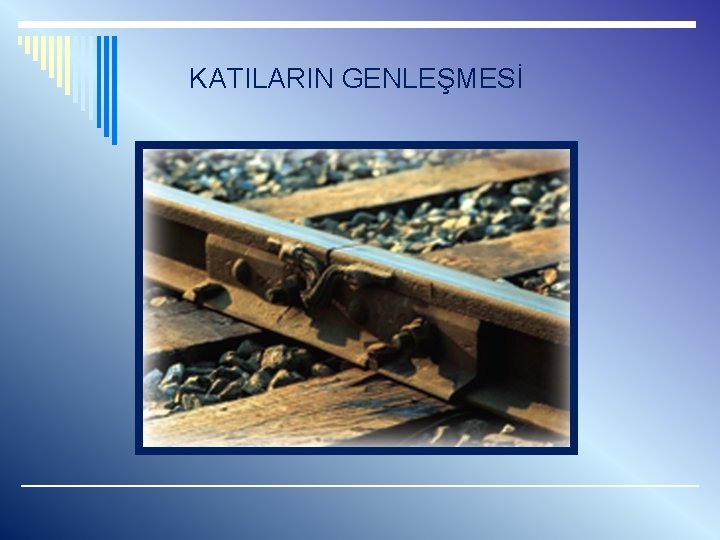 KATILARIN GENLEŞMESİ 