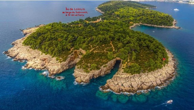 Île de Lokrum au large de Dubrovnik, à 10 mn en ferry. 