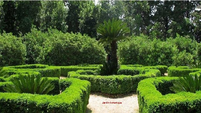 Jardin botanique 