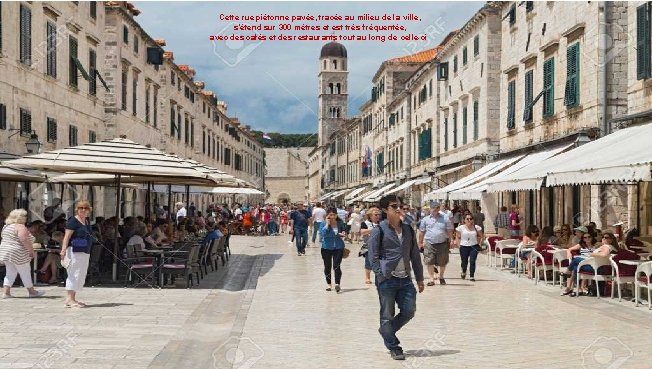 Cette rue piétonne pavée, tracée au milieu de la ville, s’étend sur 300 mètres