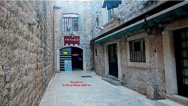 Aquarium à côté du Musée maritime. 