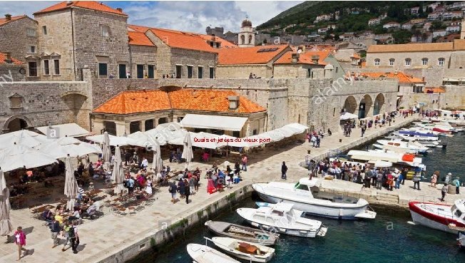 Quais et jetées du vieux port 