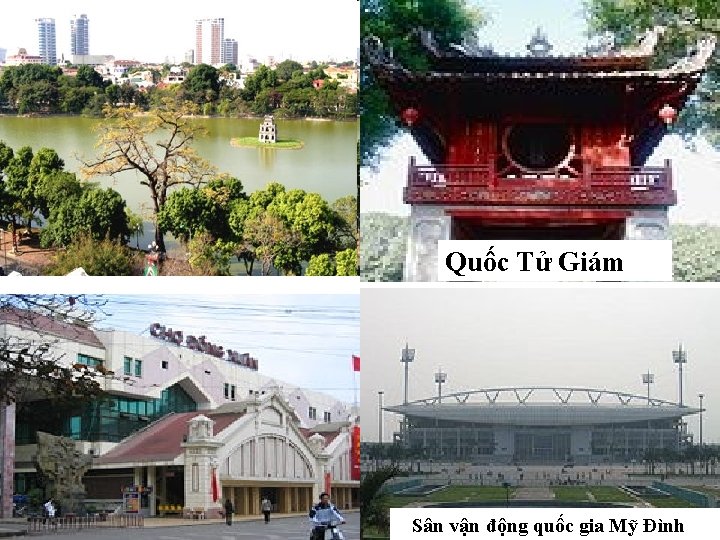 Quốc Tử Giám Sân vận động quốc gia Mỹ Đình 