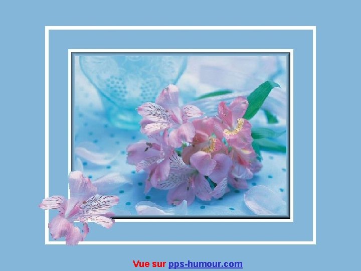 Vue sur pps-humour. com 