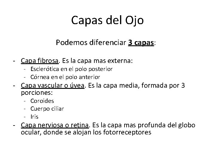 Capas del Ojo Podemos diferenciar 3 capas: - Capa fibrosa. Es la capa mas Capas del Ojo Podemos diferenciar 3 capas: - Capa fibrosa. Es la capa mas