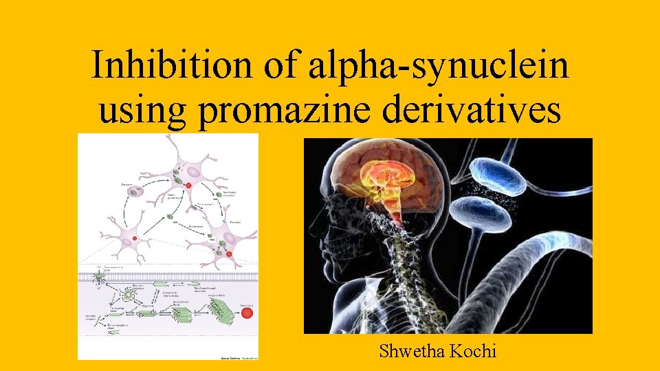 Inhibition of alpha-synuclein using promazine derivatives Shwetha Kochi 