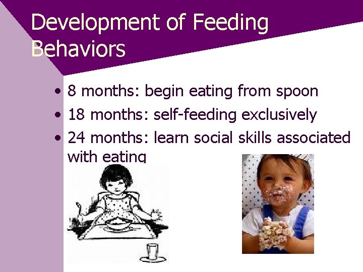 Development of Feeding Behaviors • 8 months: begin eating from spoon • 18 months: