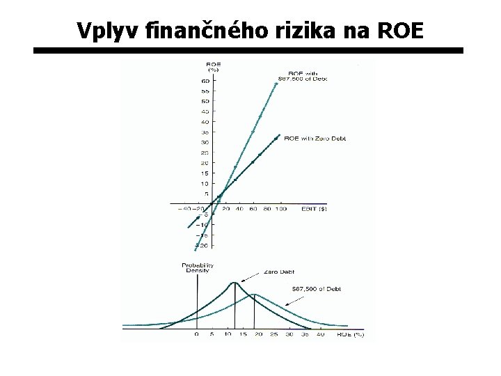 Vplyv finančného rizika na ROE 