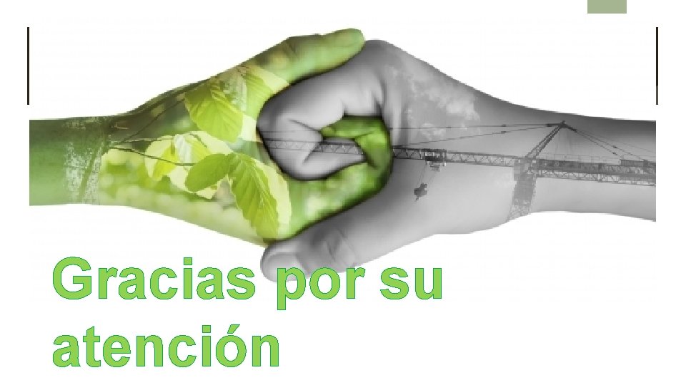 38 Gracias por su atención 