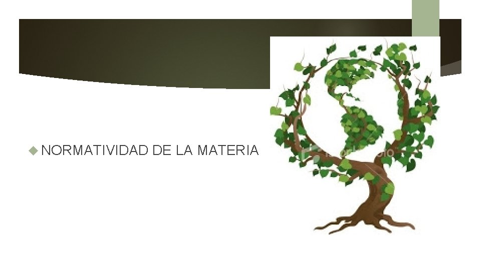  NORMATIVIDAD DE LA MATERIA 