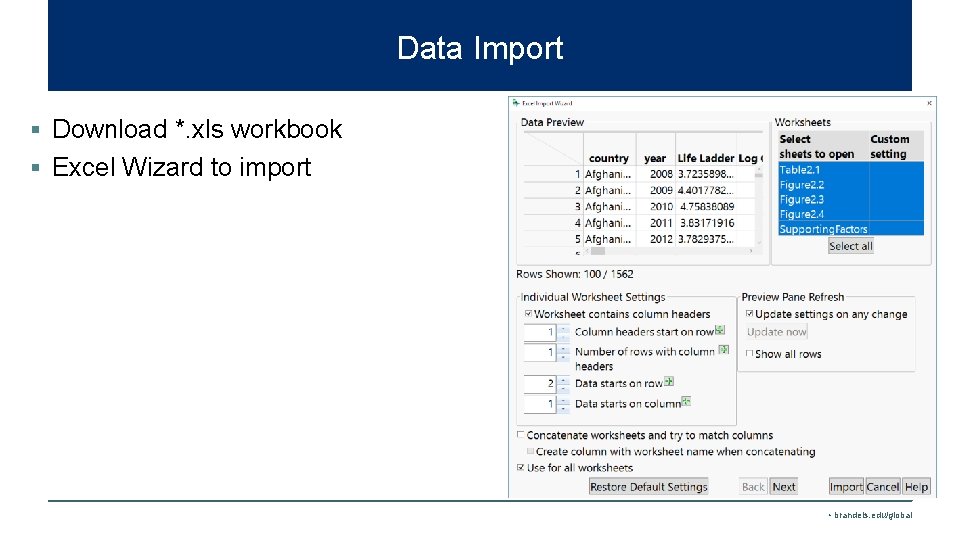 Data Import § Download *. xls workbook § Excel Wizard to import • brandeis.