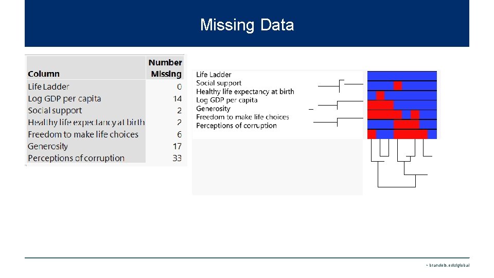 Missing Data • brandeis. edu/global 