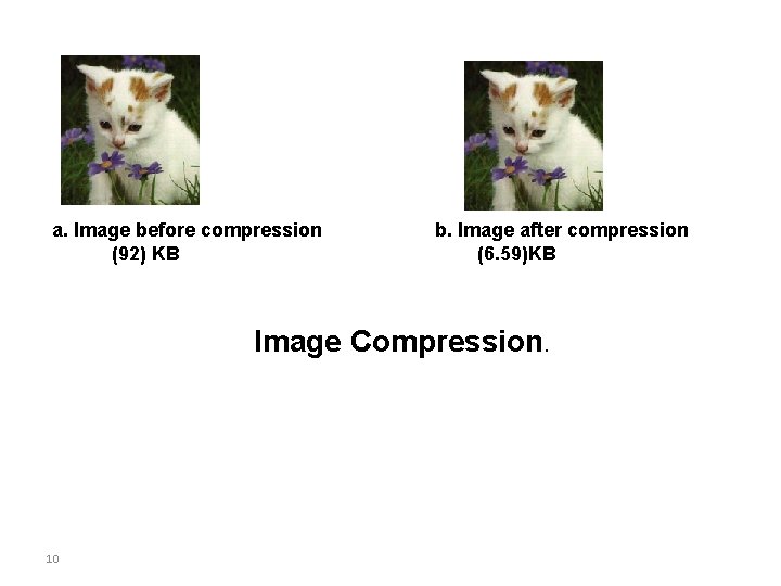 a. Image before compression b. Image after compression (92) KB (6. 59)KB Image Compression.