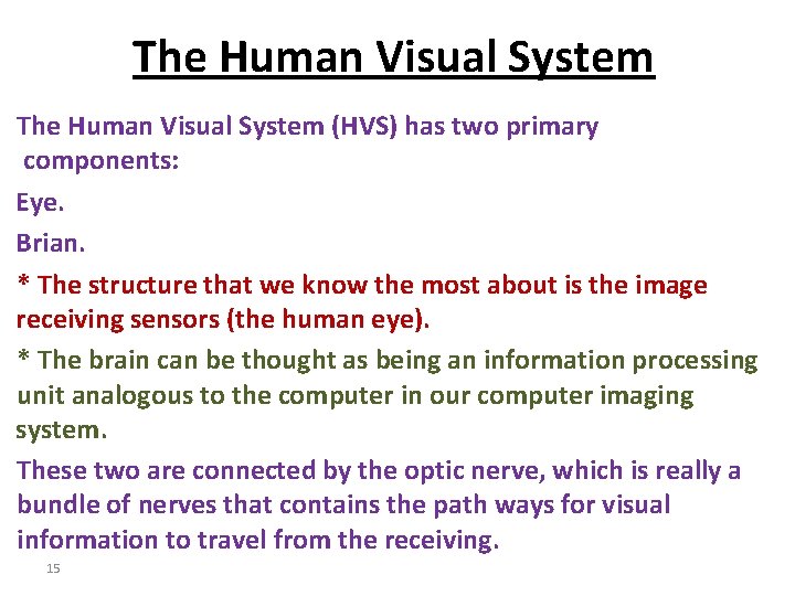 The Human Visual System (HVS) has two primary components: Eye. Brian. * The structure
