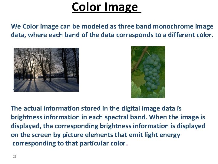 Color Image We Color image can be modeled as three band monochrome image data,