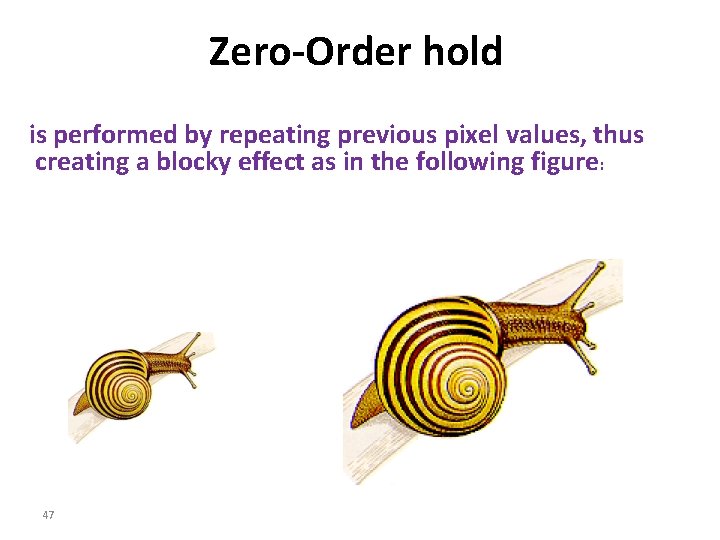 Zero-Order hold is performed by repeating previous pixel values, thus creating a blocky effect