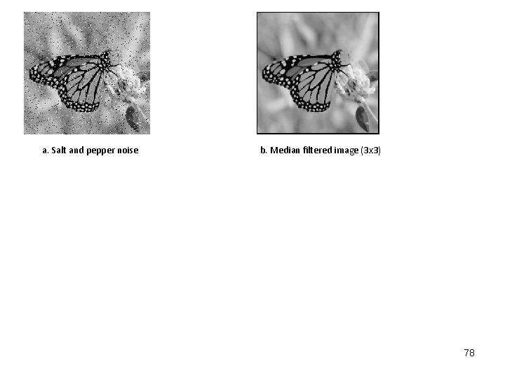 a. Salt and pepper noise b. Median filtered image (3 x 3) 78 