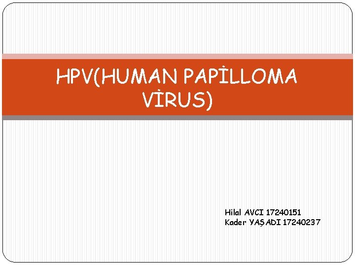 HPV(HUMAN PAPİLLOMA VİRUS) Hilal AVCI 17240151 Kader YAŞADI 17240237 