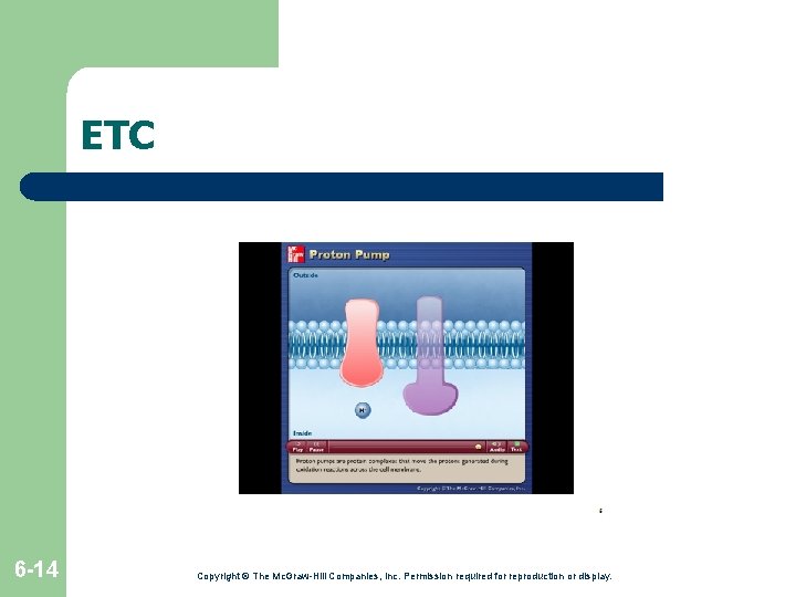 ETC 6 -14 Copyright © The Mc. Graw-Hill Companies, Inc. Permission required for reproduction ETC 6 -14 Copyright © The Mc. Graw-Hill Companies, Inc. Permission required for reproduction