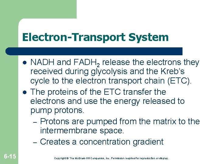Electron-Transport System l l 6 -15 NADH and FADH 2 release the electrons they Electron-Transport System l l 6 -15 NADH and FADH 2 release the electrons they