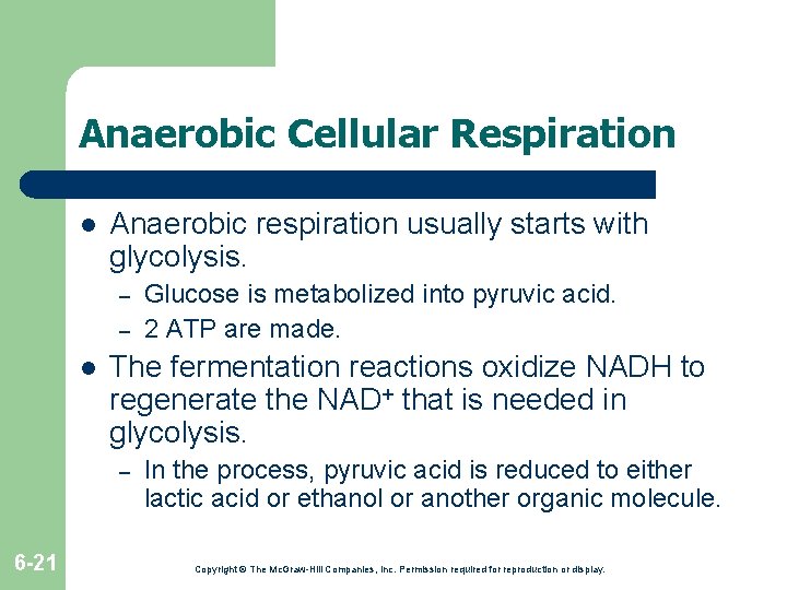 Anaerobic Cellular Respiration l Anaerobic respiration usually starts with glycolysis. – – l The Anaerobic Cellular Respiration l Anaerobic respiration usually starts with glycolysis. – – l The