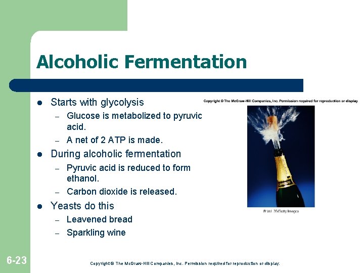 Alcoholic Fermentation l Starts with glycolysis – – l During alcoholic fermentation – – Alcoholic Fermentation l Starts with glycolysis – – l During alcoholic fermentation – –