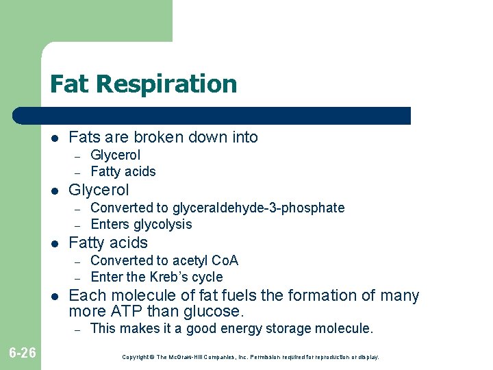 Fat Respiration l Fats are broken down into – – l Glycerol – – Fat Respiration l Fats are broken down into – – l Glycerol – –