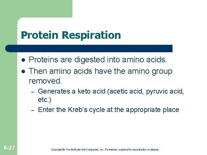 Protein Respiration l l Proteins are digested into amino acids. Then amino acids have Protein Respiration l l Proteins are digested into amino acids. Then amino acids have