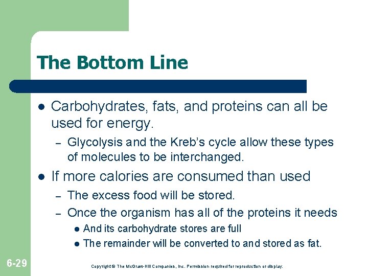 The Bottom Line l Carbohydrates, fats, and proteins can all be used for energy. The Bottom Line l Carbohydrates, fats, and proteins can all be used for energy.