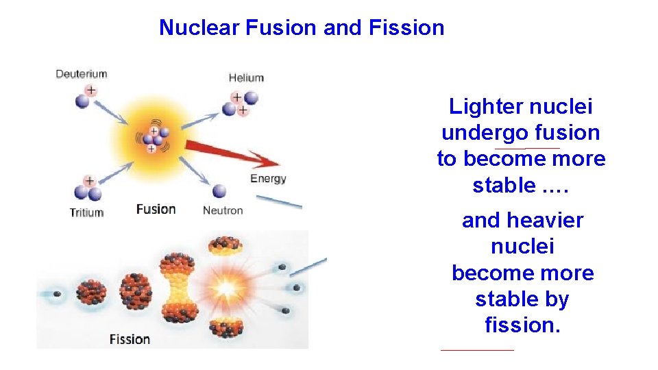 Nuclear Fusion and Fission Lighter nuclei undergo fusion to become more stable …. and