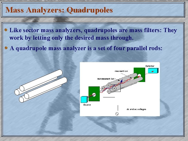 Mass Analyzers: Quadrupoles Like sector mass analyzers, quadrupoles are mass filters: They work by Mass Analyzers: Quadrupoles Like sector mass analyzers, quadrupoles are mass filters: They work by