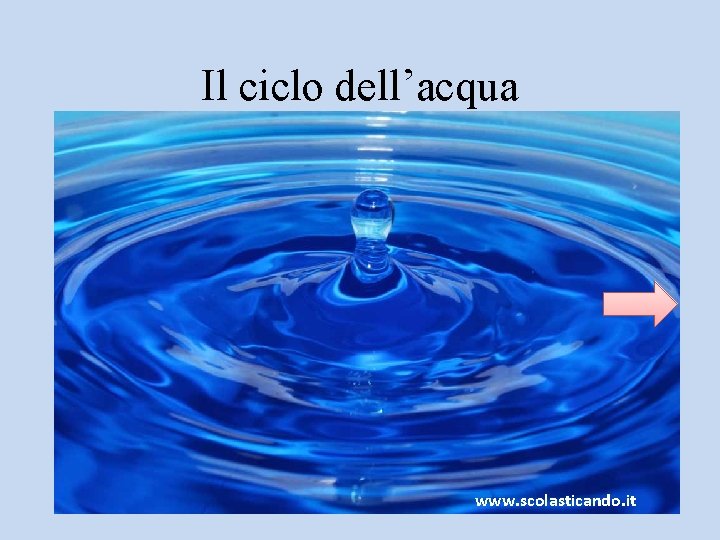 Il ciclo dell’acqua www. scolasticando. it 