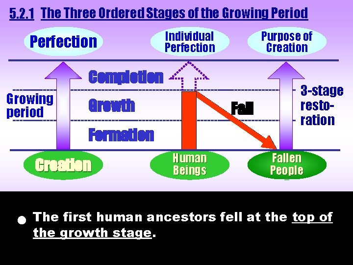 5. 2. 1 The Three Ordered Stages of the Growing Period Individual Purpose of 5. 2. 1 The Three Ordered Stages of the Growing Period Individual Purpose of