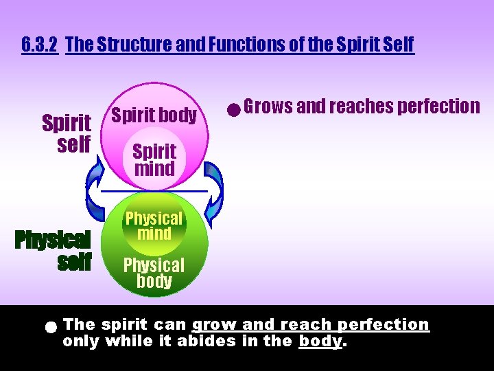 6. 3. 2 The Structure and Functions of the Spirit Self Spirit self Spirit 6. 3. 2 The Structure and Functions of the Spirit Self Spirit self Spirit