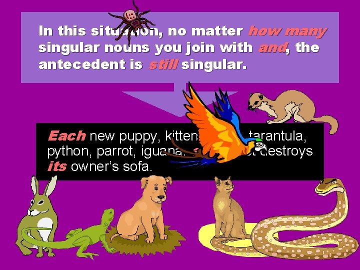 In this situation, no matter how many singular nouns you join with and, the In this situation, no matter how many singular nouns you join with and, the