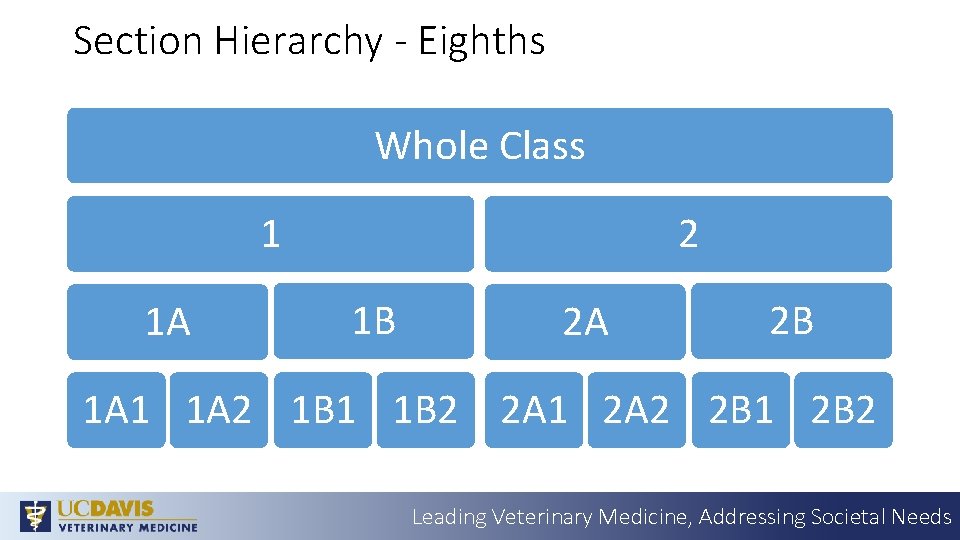 Section Hierarchy - Eighths Whole Class 1 1 A 2 1 B 2 A
