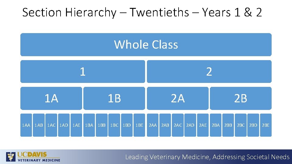 Section Hierarchy – Twentieths – Years 1 & 2 Whole Class 1 2 1