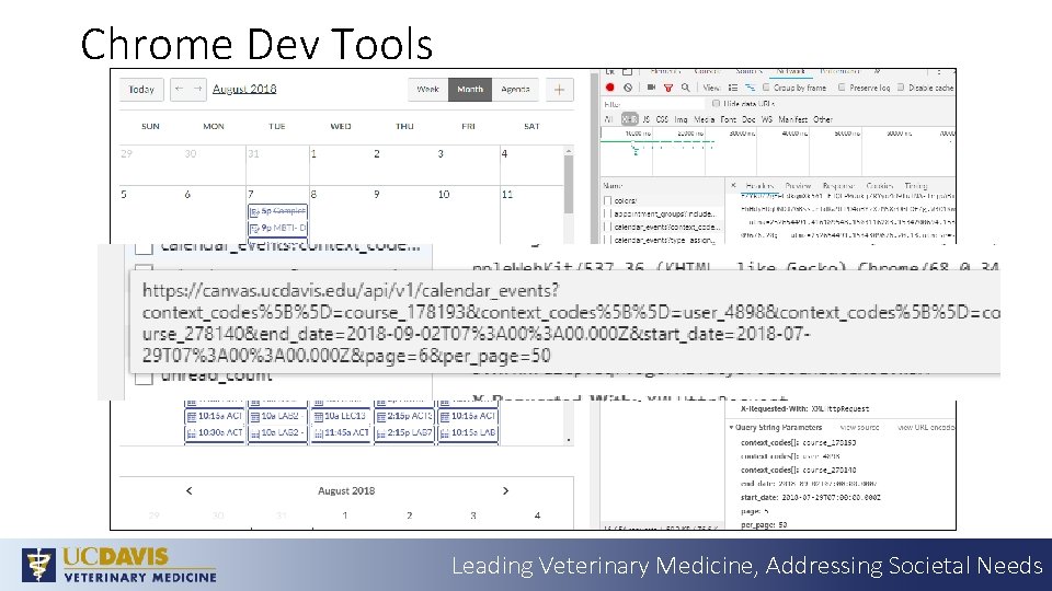 Chrome Dev Tools Leading Veterinary Medicine, Addressing Societal Needs 