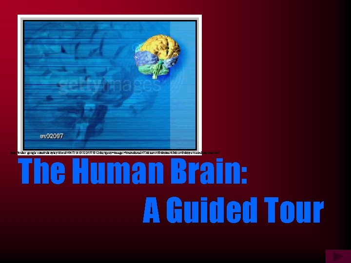 http: //video. google. com/videoplay? docid=947314193225575812&q=getty+images+brain&total=73&start=50&num=10&so=0&type=search&plindex=5 The Human Brain: A Guided Tour 