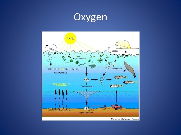 Oxygen Oxygen