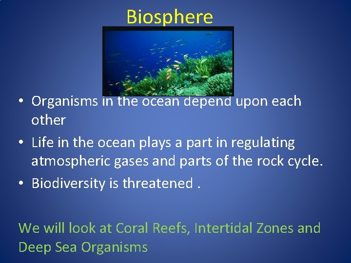 Biosphere • Organisms in the ocean depend upon each other • Life in the Biosphere • Organisms in the ocean depend upon each other • Life in the