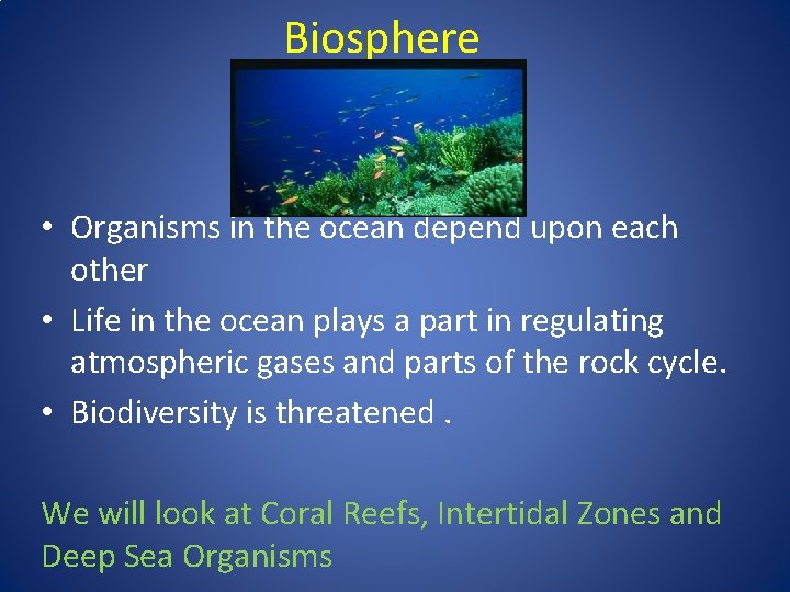 Biosphere • Organisms in the ocean depend upon each other • Life in the