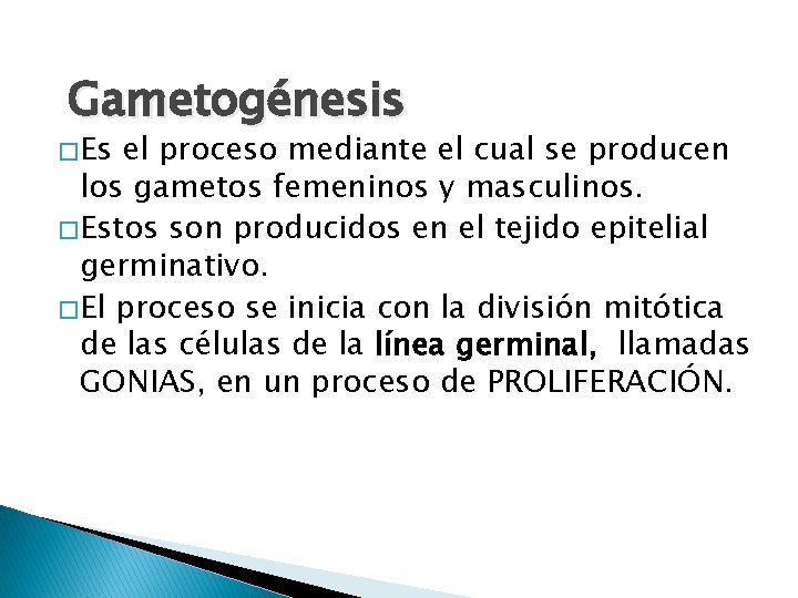 Gametogénesis � Es el proceso mediante el cual se producen los gametos femeninos y