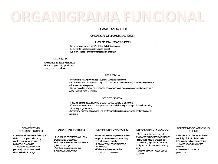 ORGANIGRAMA FUNCIONAL 