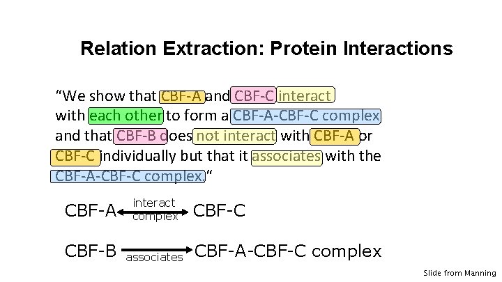 Relation Extraction: Protein Interactions “We show that CBF-A and CBF-C interact with each other