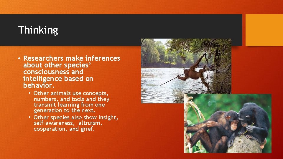 Thinking • Researchers make inferences about other species’ consciousness and intelligence based on behavior.