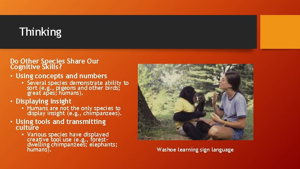 Thinking Do Other Species Share Our Cognitive Skills? • Using concepts and numbers •